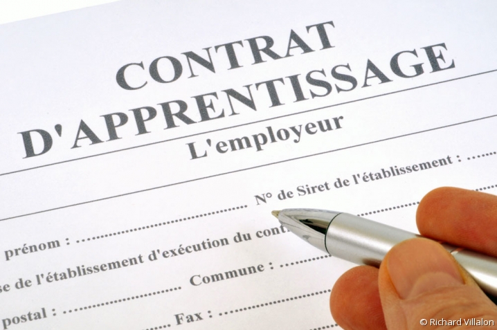 Photo d'un contrat d'apprentissage, avec les différents champs à remplir par l'employeur.