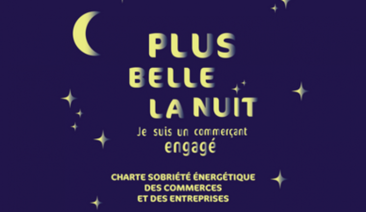 Plus belle la nuit